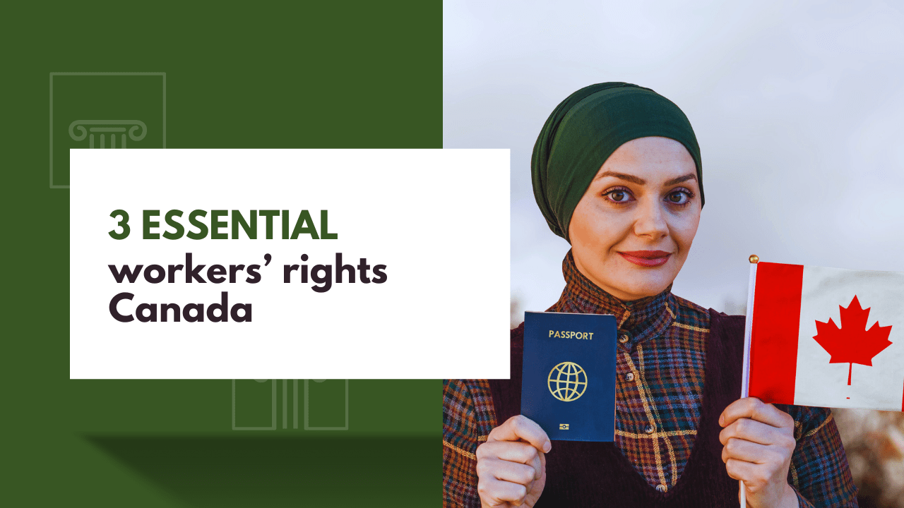 3 Essential Rights Every Employee in Canada Should Know