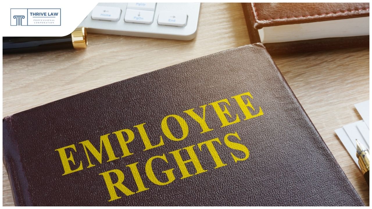 Ontario Employee Rights