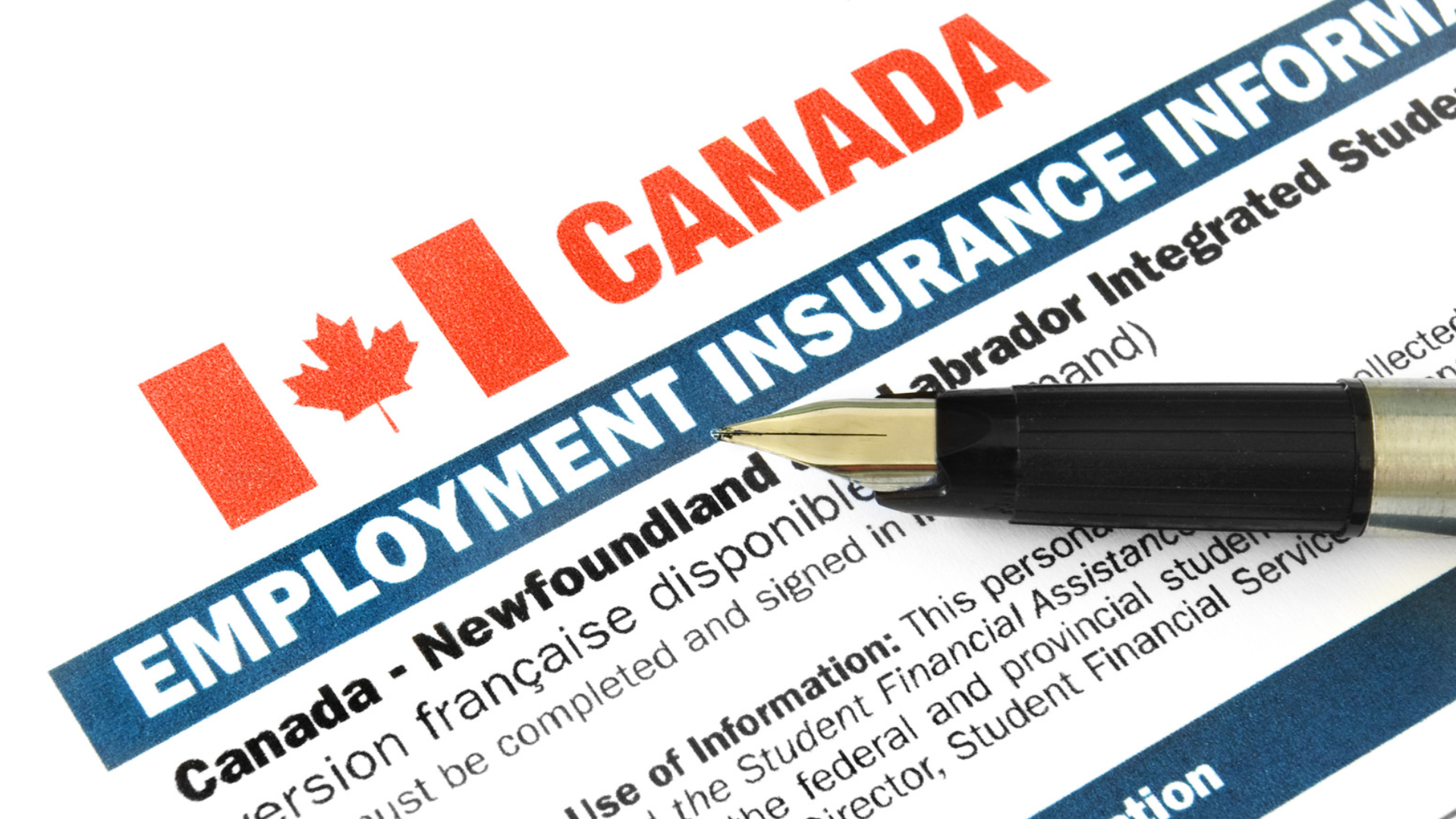 Employment Insurance